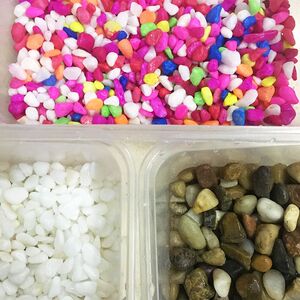 白色大雨花石价格 白色大雨花石图片 星期三 白色大雨花石价格 白色大雨花石图片 星期三