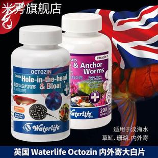 英国正品 进口Waterlife内寄大白片外寄龙鱼魟热带鱼头洞肠炎白点