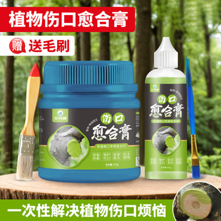 植物树木伤口愈合剂盆景果树嫁接月季 兰花树枝剪枝树桩皮切口修复