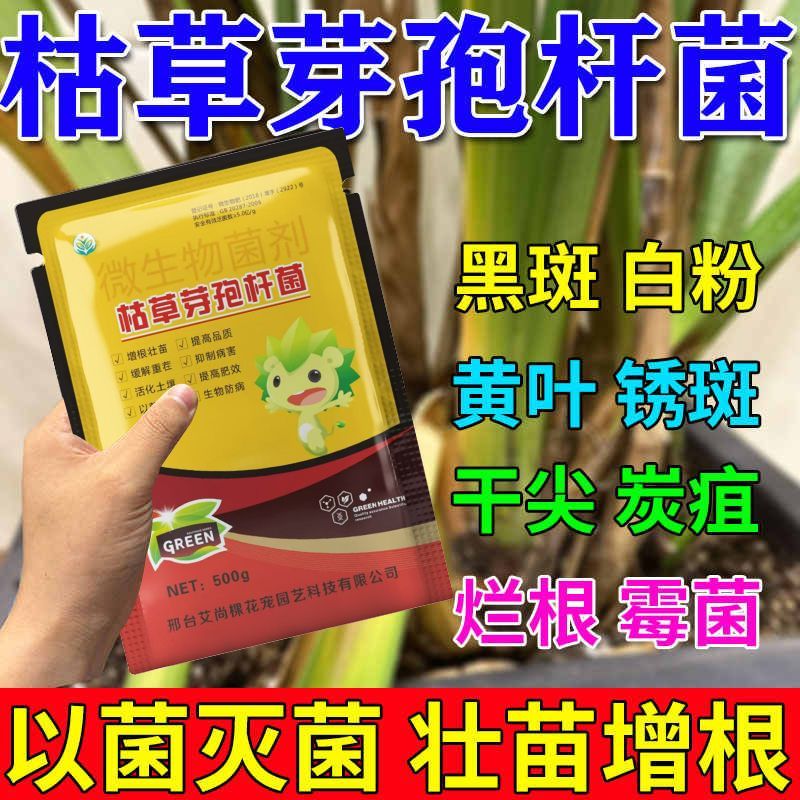 枯草芽孢菌杆菌农用微生物菌肥枯草杆菌菌剂菌肥菌种防病肥料