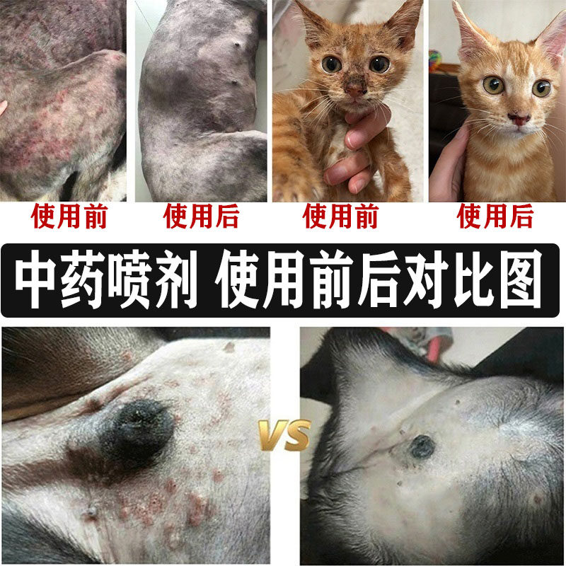 猫癣喷剂狗狗皮肤病外用药猫藓专用喷雾宠物细菌猫咪真菌狗癣螨虫
