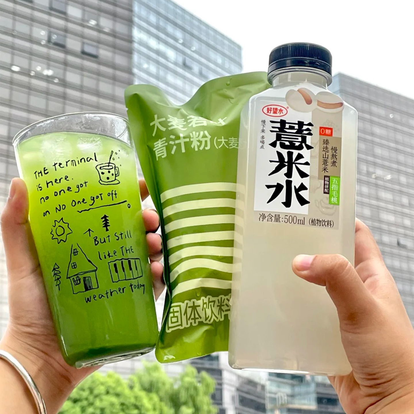 【薏起青盈】好望水五指毛桃薏米水大麦若叶青汁粉组合含膳食纤维