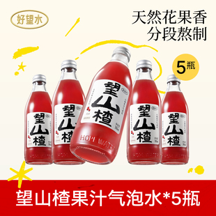 好望水望山楂汁气泡水饮料碳酸果汁汽水望杏福梅好5瓶