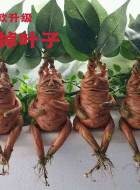 新品曼德拉树脂摆件Mandrake家居装饰曼德拉