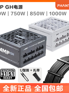 phanteks追风者AMP GH650W/750W/850W金牌全模组台式电脑电源ATX3