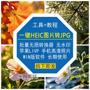 HEIC图片转JPG批量转换器无损苹果LIVP手机照片高清软件WIN版工具