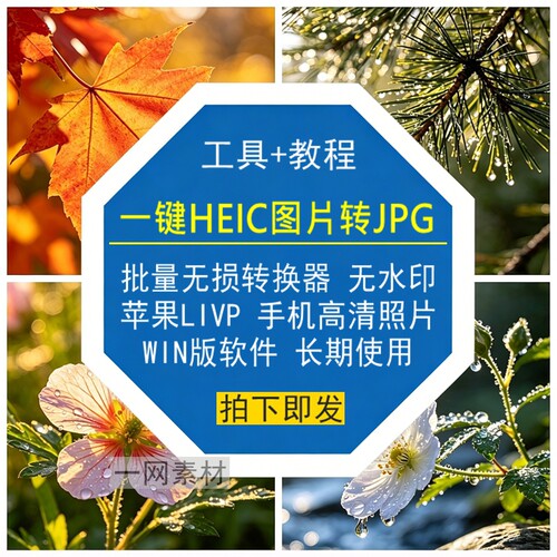 HEIC图片转JPG批量转换器无损苹果LIVP手机照片高清软件WIN版工具