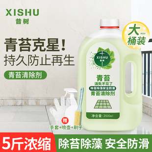 青苔清除剂水泥地面去除专用药水清洗神器克星水桶强力防杀一扫光