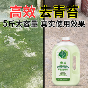 水泥地除青苔清除剂专用神器药水克星清洗去地面地板防杀水桶清洁
