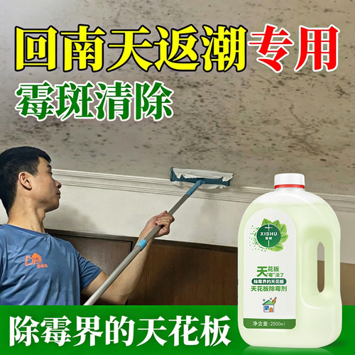 昔树天花板吊顶屋顶房顶除霉剂