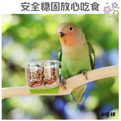 文鸟金丝雀喂食软食喂食器牡丹鹦鹉灰燕固定分离鹦鹉食盆虎皮鹦鹉