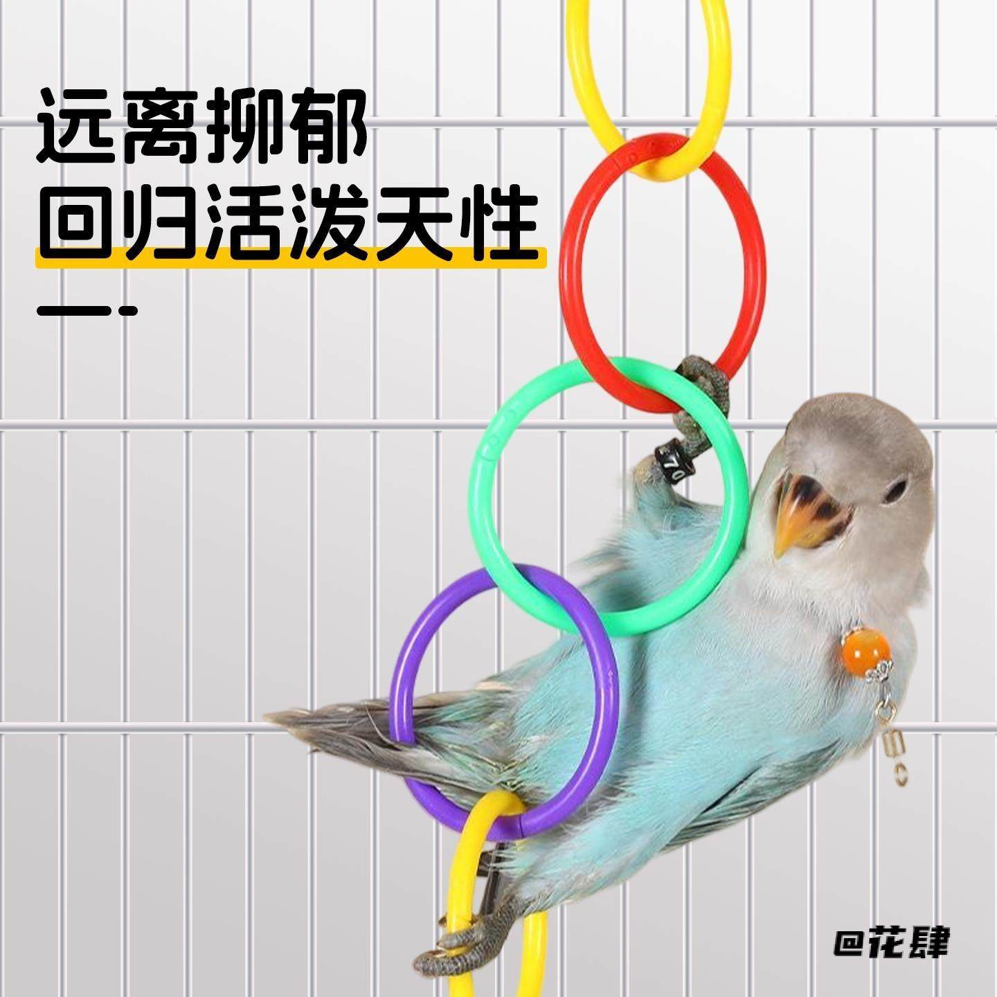 攀爬鸟用品自嗨解闷趣味小太阳牡丹鹦鹉玩具啃咬小鸟专用装饰铃铛,服饰配件/皮带/帽子/围巾,其他配件,淘宝优惠券,粉丝福利购,淘宝优惠卷