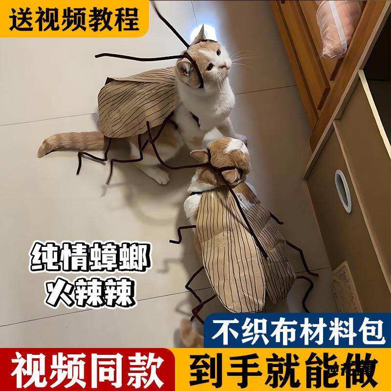 抖音同款短视频同款火辣辣蟑螂搞怪猫咪衣服cosplay扭扭棒,饰品/流行首饰/时尚饰品新,其他DIY饰品配件,淘宝优惠券,粉丝福利购,淘宝优惠卷