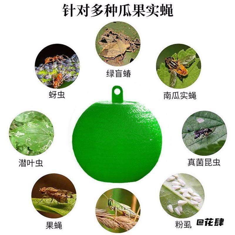 沾捕粘虫球诱蝇球色引诱剂菜园果蝇果实蝇贴诱捕器马蜂针蜂创意,玩具/童车/益智/积木/模型,手工创意粘贴类,淘宝优惠券,粉丝福利购,淘宝优惠卷