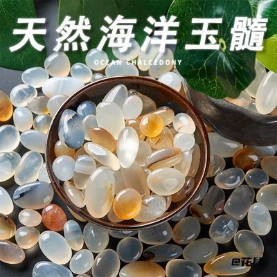 铺底造景石装饰海洋玉髓水培植物水培雨花石鱼缸装饰水仙子石子