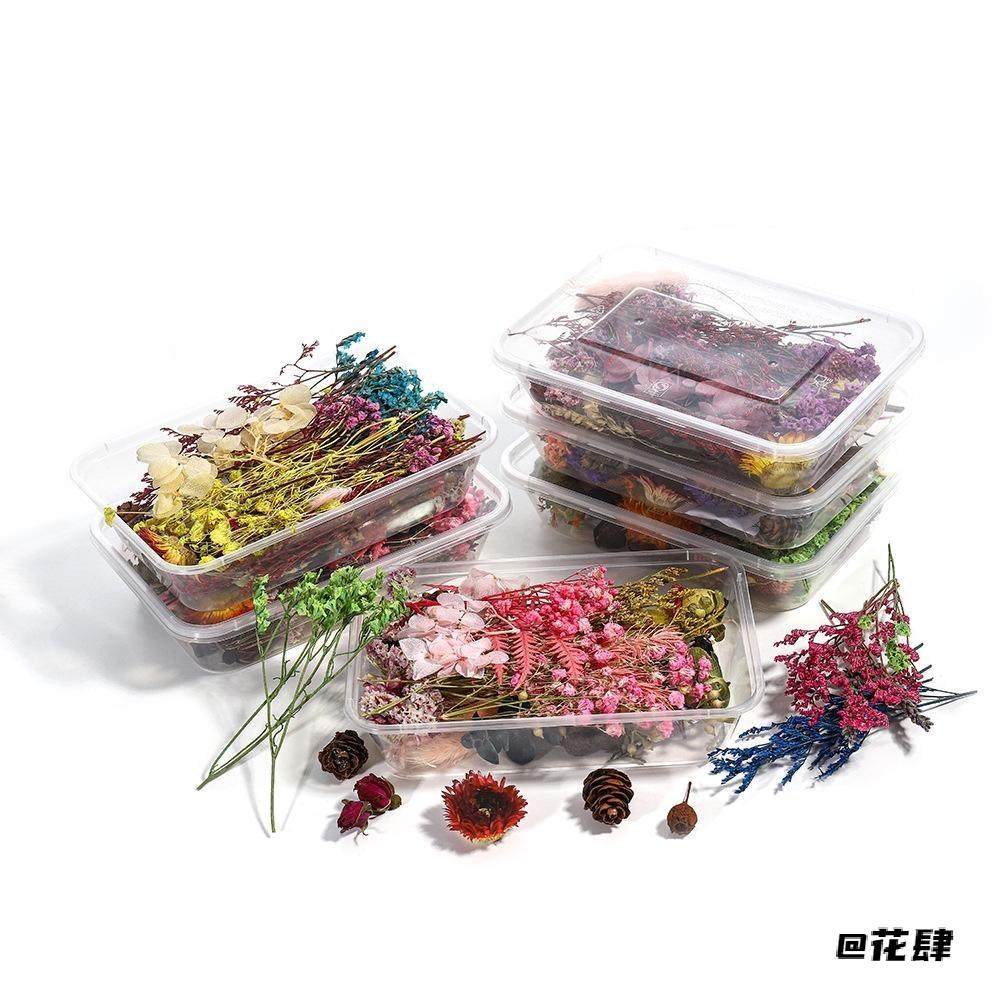 干花材料干花盒天然花满天星花材花材包玻璃罩干花包幼儿园花环,家居饰品,干花/花瓣/干花包/干树枝,淘宝优惠券,粉丝福利购,淘宝优惠卷