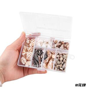 饰品贝壳材料包贝壳海滩钉螺蜗牛瓶装幼儿织纹螺立体工艺品小海螺