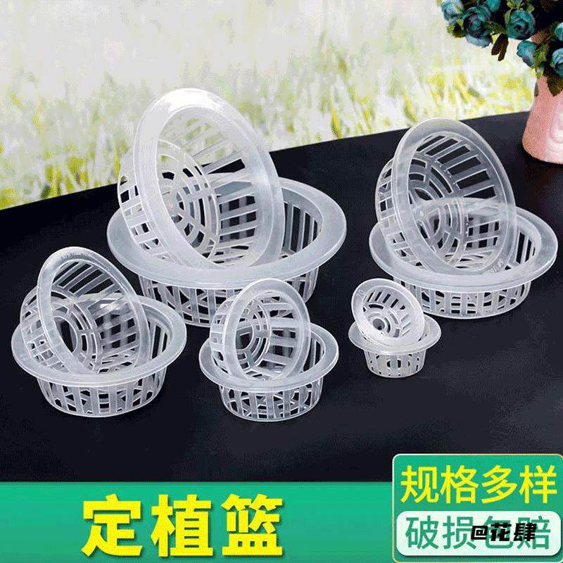 种植观察蔬菜固根器固定架水培植物家用定植篮根系无土栽无土栽培,家居饰品,仿真植物盆景,淘宝优惠券,粉丝福利购,淘宝优惠卷