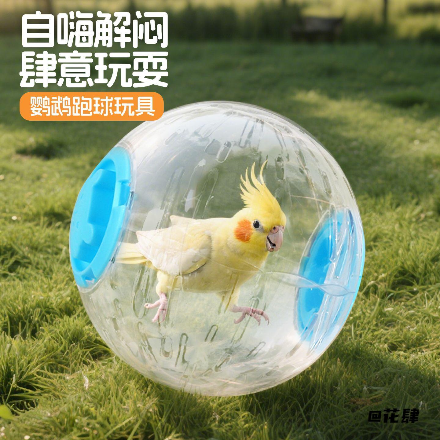 自嗨新款跑球小太阳自走球啃咬虎皮牡丹解闷仓鼠鹦鹉玩具滚球抛球