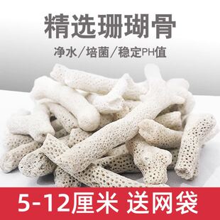 珊瑚骨滤材天然鱼缸水族箱造景海葵窝过滤多孔大块海缸摆件造景品