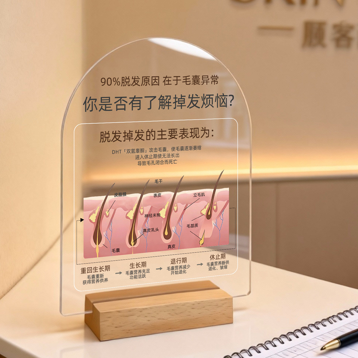 整形医院医美植发头发养护脱发皮肤抗衰台卡摆台粉刺毛囊图肌肤结构解剖图立牌桌牌模型亚克力桌面定做展示牌