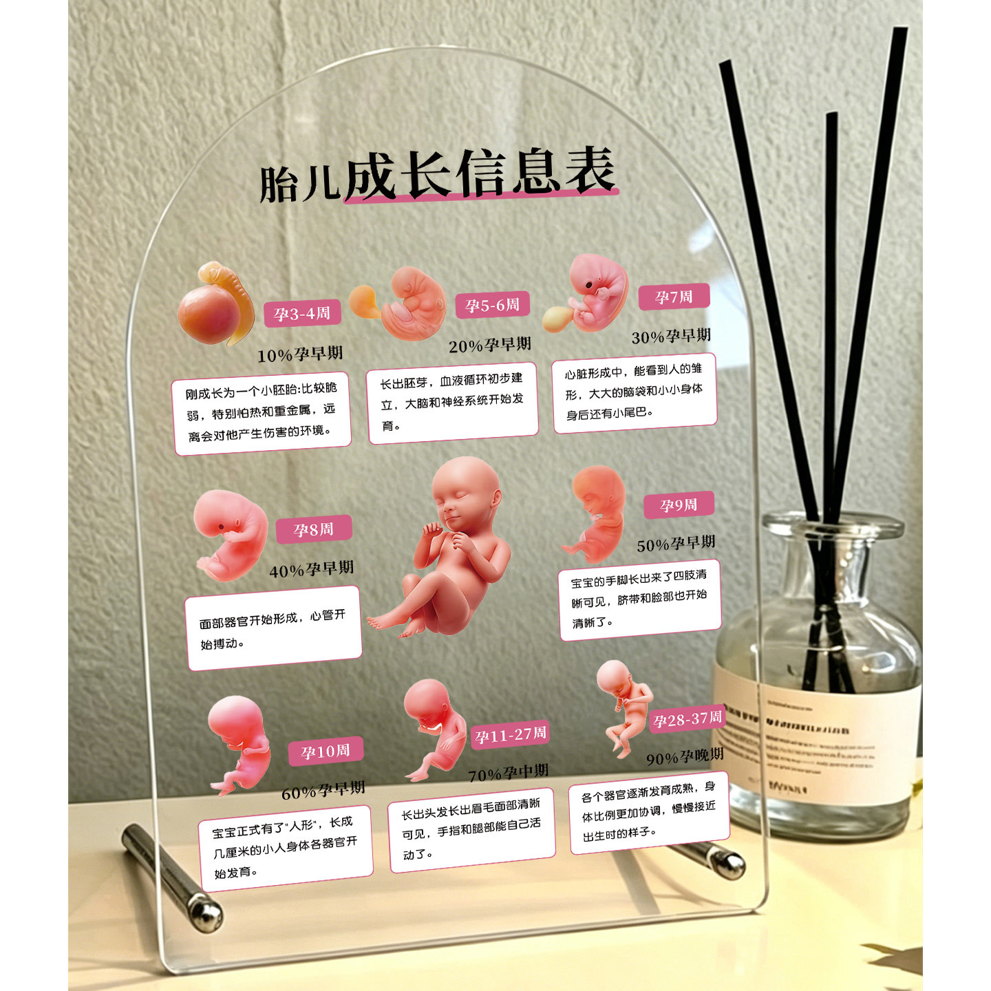 月子中心台卡胚胎变化发育注意事项桌牌怀孕后私立医院摆台胎儿成长信息表准妈妈饮食禁忌台牌产康亚克力装饰