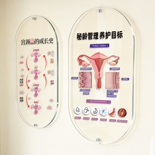 私处养护整形挂墙装饰画展示牌