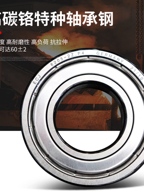 ECJ德国进口精密深沟球轴承6000 6001 6002 6003 6004 6005-2RS2Z