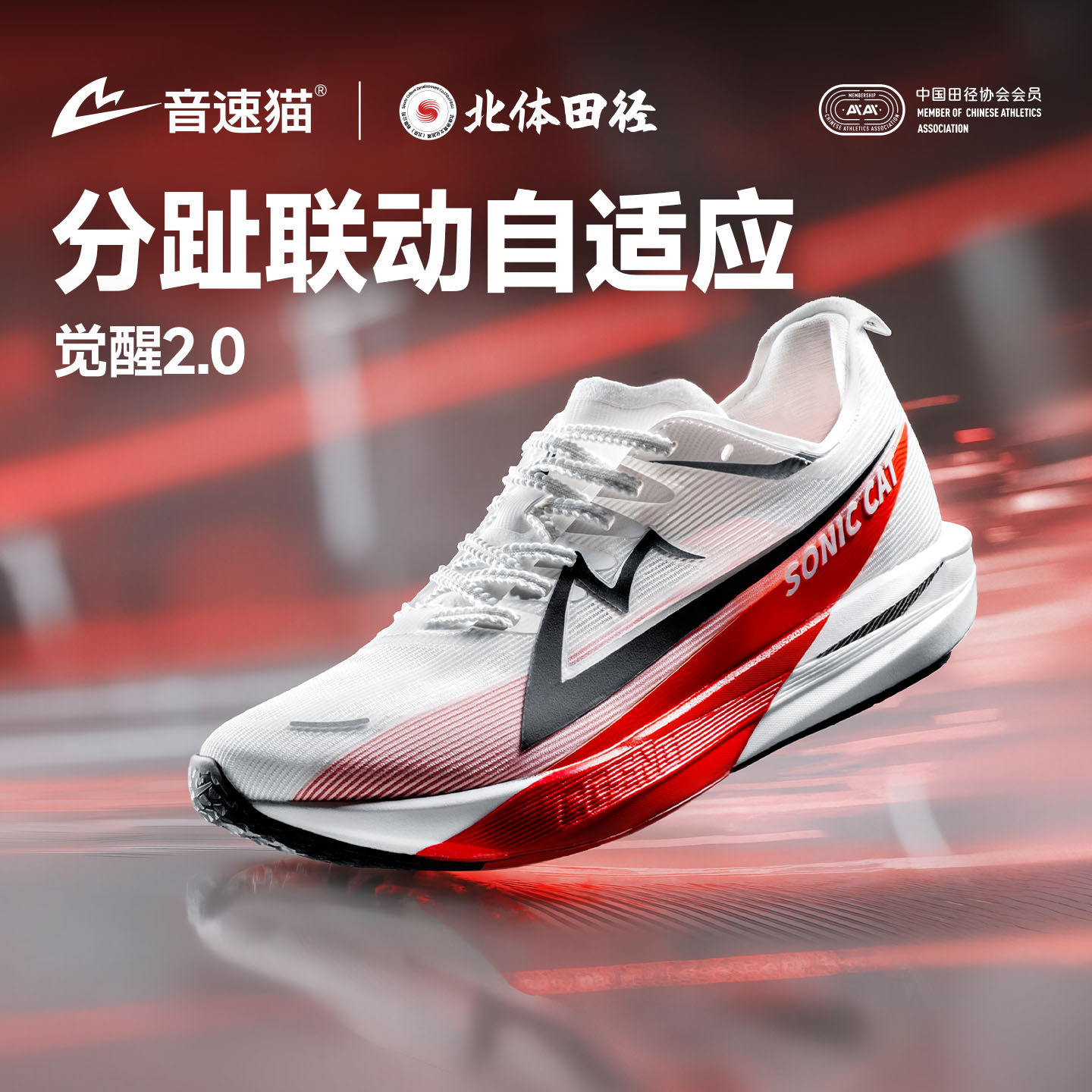 【北体共研】音速猫觉醒2.0碳板气垫跑鞋官方旗舰店体考跑步鞋