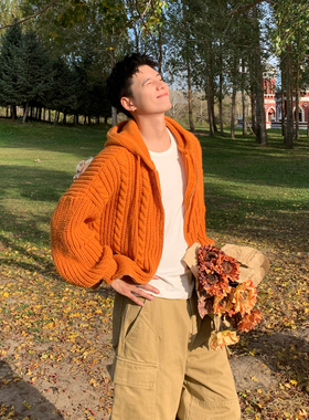 Holocene美式潮牌慵懒多巴胺针织衫男秋冬时髦麻花拉链连帽衫外套