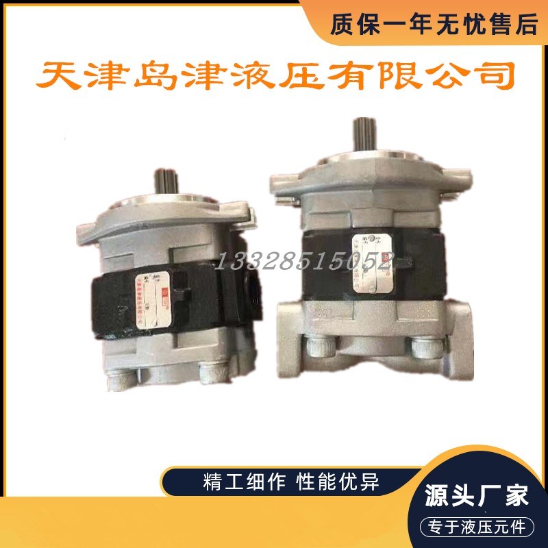 SGP1A27F2H9-L309C天津岛津液压有限公司SGP1A27A9H9-R308C齿轮泵