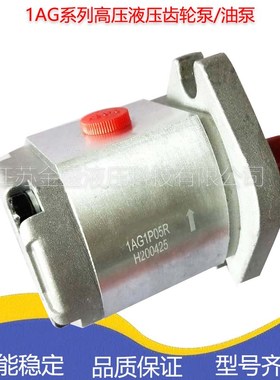 1AG1P09R铸铝泵/02R/03R/04R/0R5/06R/07R/08R/01R/35R液压齿轮泵