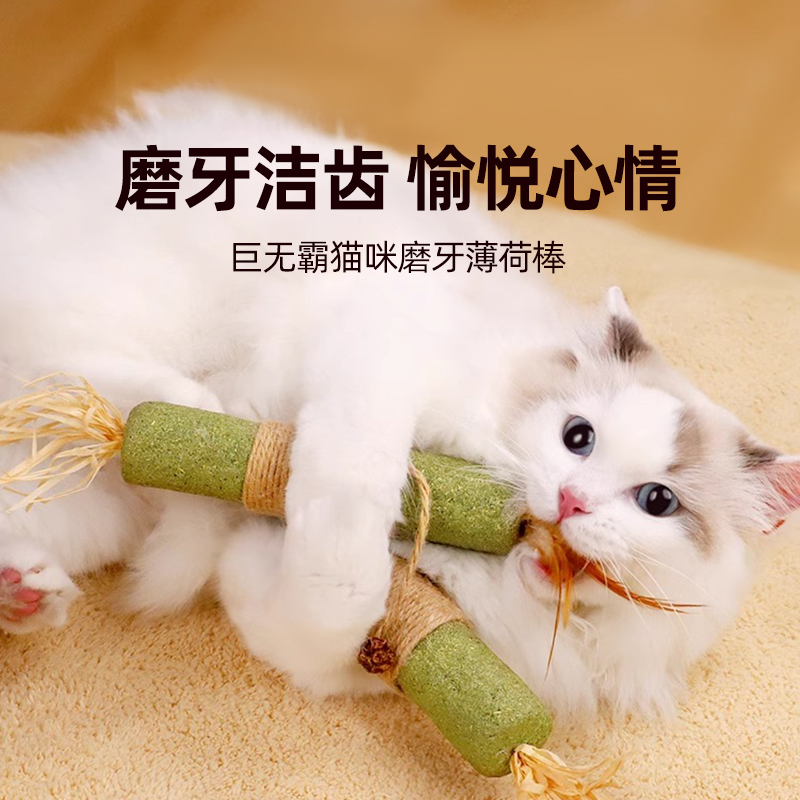 猫薄荷磨牙棒猫玩具自嗨解闷耐咬球逗猫棒幼猫木天蓼磨牙猫咪用品