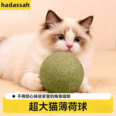 大号10cm猫薄荷球自嗨解闷磨牙猫薄荷玩具薄荷球虫瘿果性价比大球