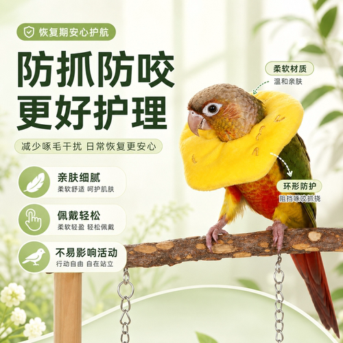 鹦鹉伊丽莎白圈小宠花枝鼠仓鼠保护圈防破口术后花枝鼠伊丽莎白圈