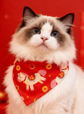 宠物招财项圈2026马年三角巾口水巾拍照猫咪狗项链红色围巾装饰品