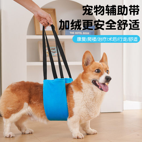 【新品热销10万+】宠物辅助带