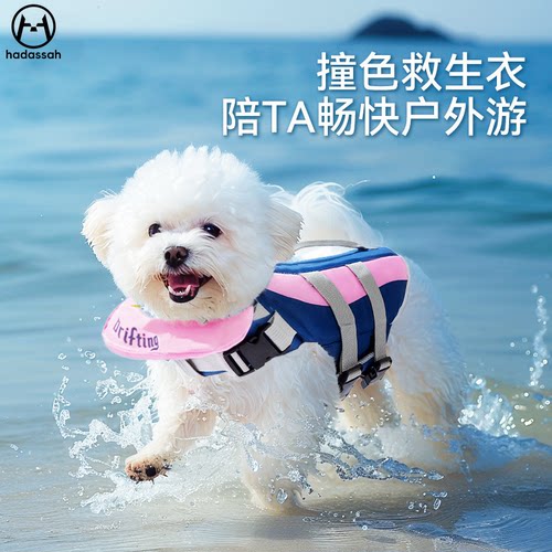 宠物救生衣泳衣小型犬比熊泰迪夏季户外游泳