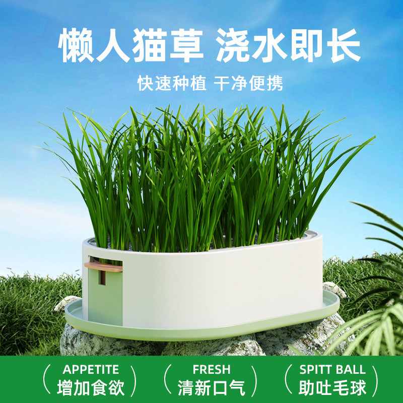 猫草盆栽无土水培猫咪专用排毛球克星懒人种植化毛草种子幼猫零食,宠物/宠物食品及用品,猫草/猫草片,淘宝优惠券,粉丝福利购,淘宝优惠卷