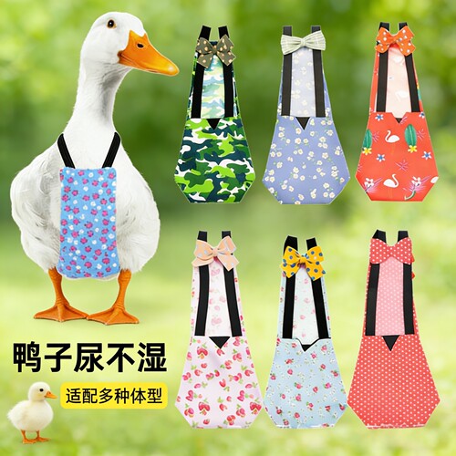 宠物鸭子尿不湿尿兜屎尿垫鸭子衣服柯尔鸭尿垫鸡纸尿布鹅尿片裤