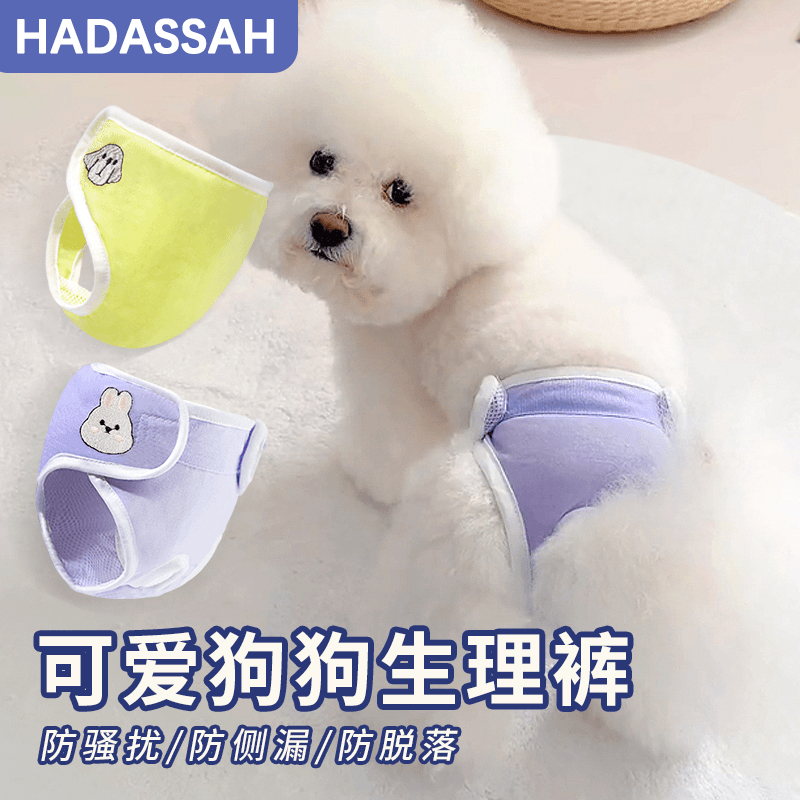 宠物狗狗生理裤泰迪姨妈巾防骚扰