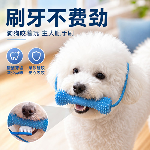 狗狗刷牙辅助器宠物咬棍口腔清洁防吞咽绳结磨牙玩具日常清洁护理