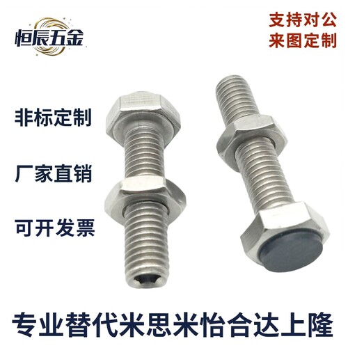 TDC11不锈钢止动螺栓型
