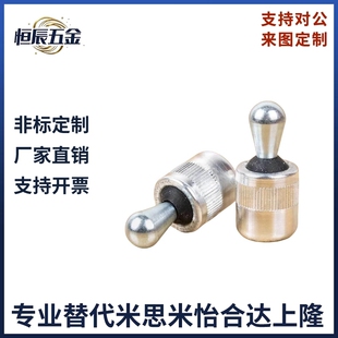 特别用途柱塞侧向定位销无橡胶封口Z-ZAV现货侧向式定位柱VCN523