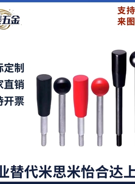 不锈钢固定握柄把手LRGNS6/8/10/12-63/80/100/125/160/200-R/B