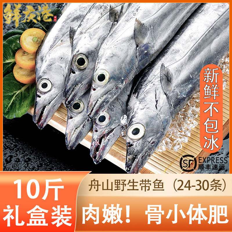 舟山雷达网小眼带鱼新鲜冷冻特级