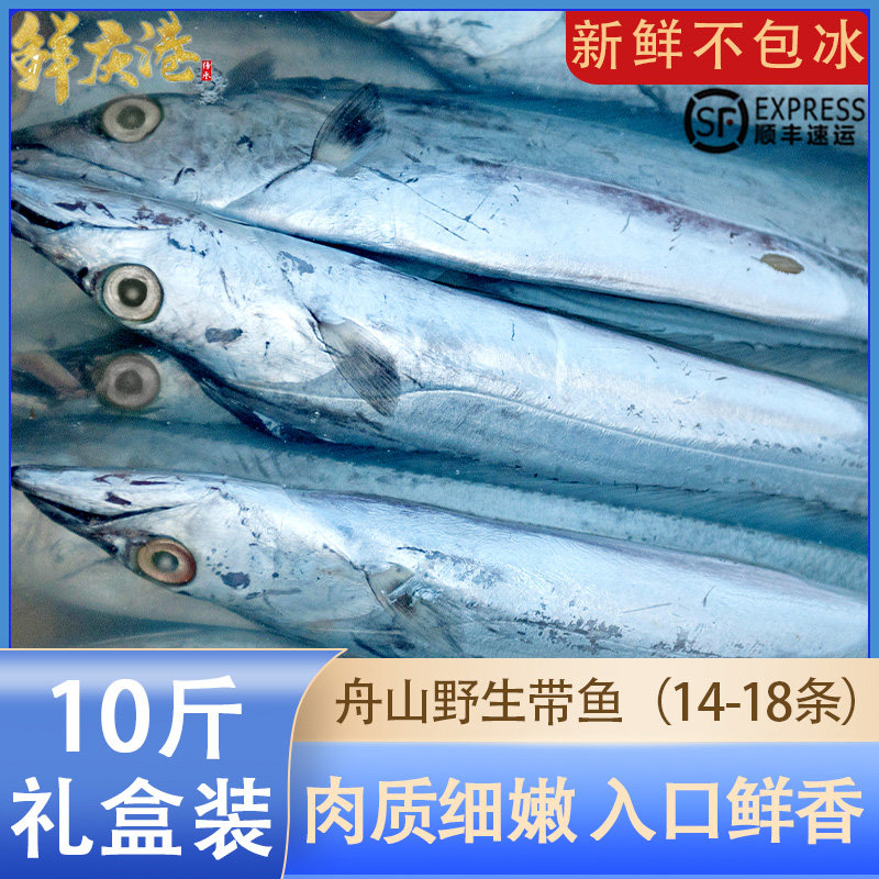 舟山带鱼新鲜鲜活雷达网小眼带鱼带鱼