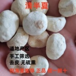 中药材清bx倪海厦同款特级甘默认原版拍清半夏天然法半夏假一赔十