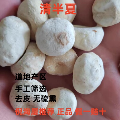 倪海厦同款拍清半夏特级原版大个