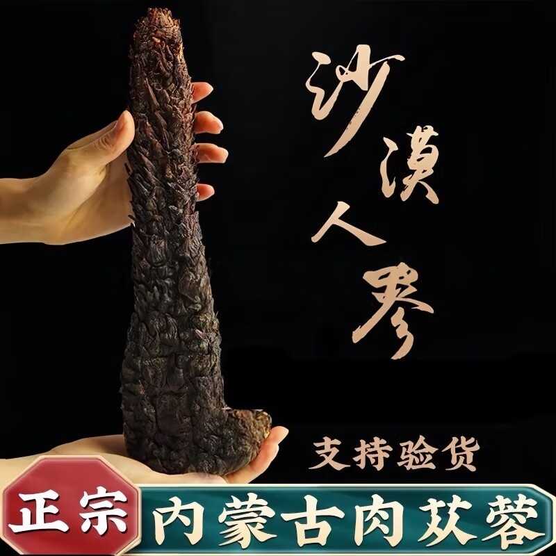 中药材沙漠双雄肉苁蓉阿拉善正品大芸阿拉善肉苁蓉整根发货油苁蓉